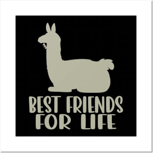 Llama Best Friends For Life for Fans of South American Majesty Posters and Art